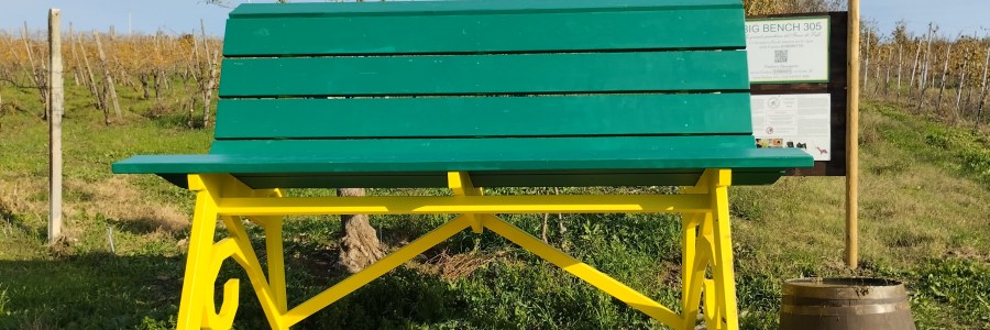 Big Bench 305 Santa Paolina (AV) 01