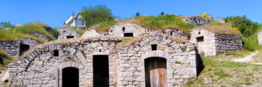 Pietragalla e Acerenza